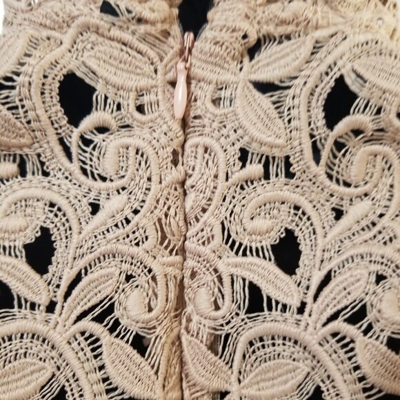 Zara Woman Lace Dress Medium Nude Eyelash Lace Cocktail Dress Sleeveless M - Picture 5 of 6